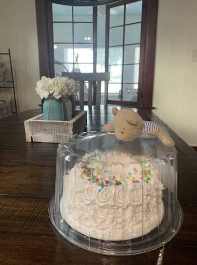 A birthday cake with a small beanie baby on top looking like he wants to eat it.